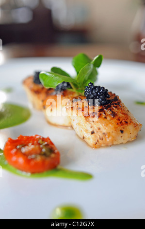 Seared scallops topped with caviar as cooked at The Medicine Chest restaurant in Brighton UK Stock Photo