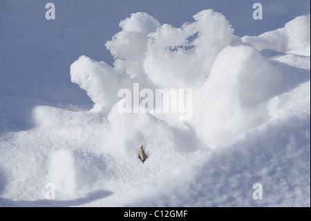 Early spring snow patterns, Viikki Nature Reserve, Helsinki, Finland, Scandinavia, Europe. Stock Photo