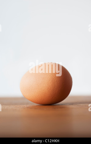 Studio shot of egg Stock Photo