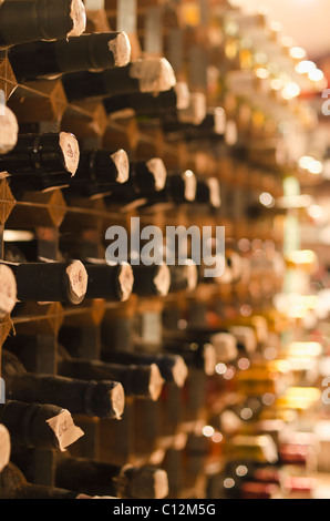 United Kingdom, Bristol, old wine bottles on cellar shelves Stock Photo
