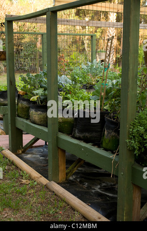 Container gardening is made easier by placing the plants on raised