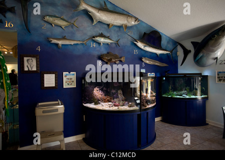 The Florida Oceanographic Coastal Center in Stuart ,Florida houses a display of local fish and other marine life in the center. Stock Photo