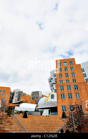 Frank Gehry designed Ray and Maria Stata Center at the Massachusetts Institute of Technology MIT Cambridge  Massachusetts USA Stock Photo