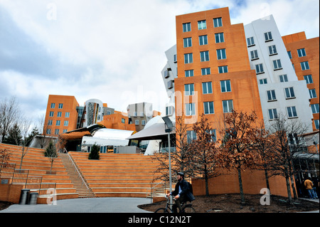 Youth rides bike past famous architect Frank Gehry designed Ray and Maria Stata Center at MIT, Massachusetts Institute of Technology, Cambridge MA USA Stock Photo