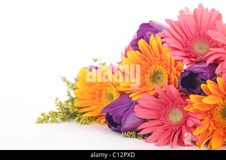 Bouquet of colorful flowers isolated on white background Stock Photo