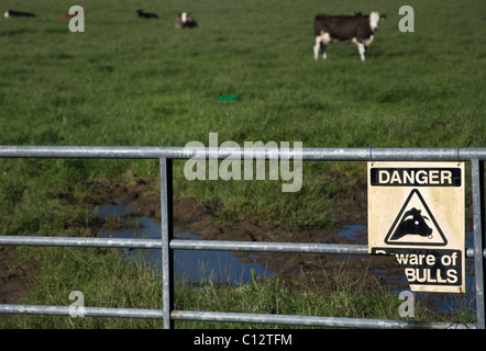 Beware of the bull sign on gate of field in County Cork, Ireland Stock Photo