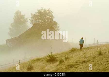 rear view of man walking on meadow in dzembronya area in ukraine Stock Photo