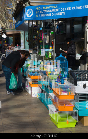 Stall selling birds along Ramblas avenue Barcelona Catalunya Spain Europe Stock Photo