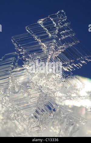 Ice crystals growing on a snow surface. Powys, Wales. December. Stock Photo