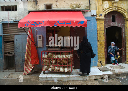 Chicken stall at a street market in Medina old quarters Casablanca central Morocco northern Africa Stock Photo