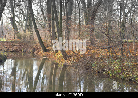 Woodland and Stream on a Early Winter Day Stock Photo