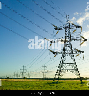 Electricity pylons, Scotland, UK. Stock Photo