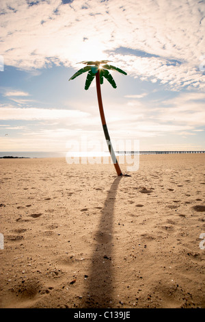 USA, New York City, Coney Island, palm tree on beach Stock Photo