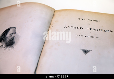 Extant volume of the works of Alfred Tennyson, London Stock Photo