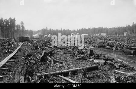 Land littered with the stumps of trees in what would become the lumber town of Davis, West Virginia. Called a 'stump town' in its early years, it thrived as a lumber center from 1885-1925. Stock Photo