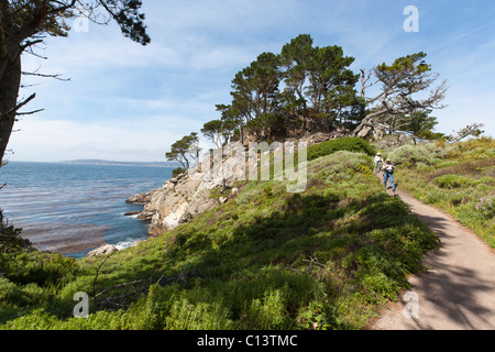 Point Lobos State Reserve near Carmel, California; North Shore Trail Stock Photo