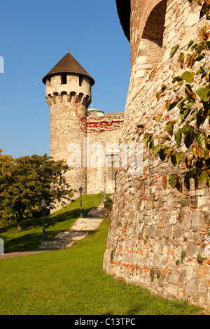 Buda Castle walls & fortifications, Budapest, Hungary Stock Photo