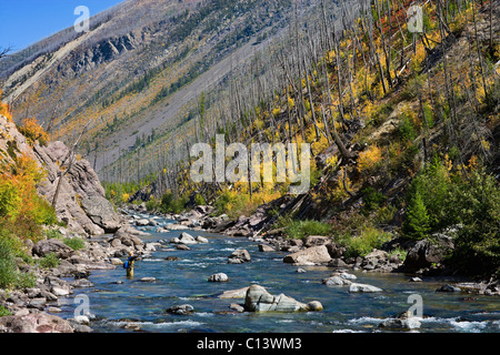 USA, Montana, Woman fly fishing in North Fork of Blackfoot River Stock Photo