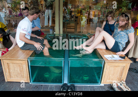 Tourists enjoying a fish spa where tiny fish nibble the dead skin from their feet in Ubud Bali Indonesia Stock Photo