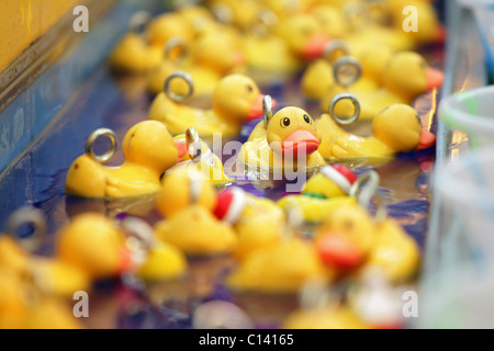 Rubber ducks at a fairground Stock Photo