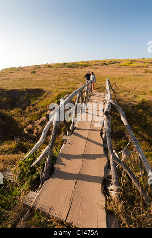 Bluff Trail along Pacific Ocean in Cambria, California.  Part of Fiscalini Ranch Preserve Trail, formerly East/West Ranch. Stock Photo