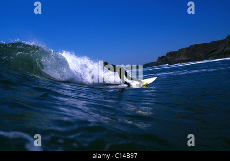Surfer racing breaking wave on Gower Peninsula, Wales.   Surfing is a popular tourist sport. Stock Photo