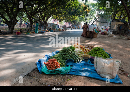 Indian street vegetable market in Yenumulapalli, Andhra Pradesh, India Stock Photo