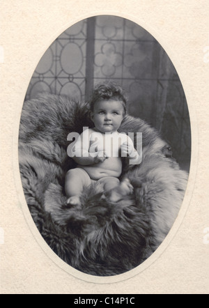 Edwardian or Victorian studio portrait of cute, chubby attractive adorable cherub-like cherubic baby with curly hair, looking at the camera, lying on fur-covered chair, U.K. Stock Photo