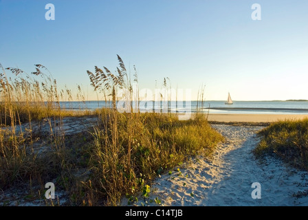 A sand pathway leads to the beach with a sailboat in the background on Hilton Head Island, SC. Stock Photo