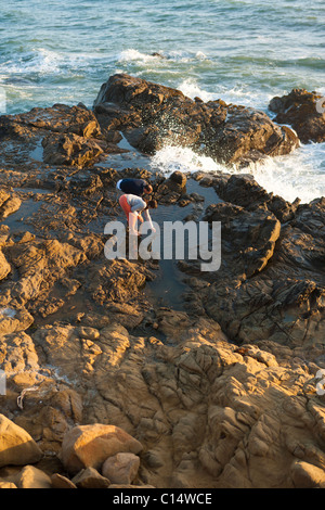 Couple exploring tide pools along Pacific Ocean near Moonstone Beach in Cambra, California. California Central Coast. Stock Photo