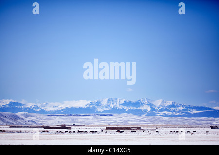 Looking west over snowy ranch land, Upper Green River Valley, facing the peaks of the Wyoming Range in Sublette County, Wyoming Stock Photo