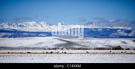 Looking west over snowy ranch land, Upper Green River Valley, facing the peaks of the Wyoming Range in Sublette County, Wyoming Stock Photo