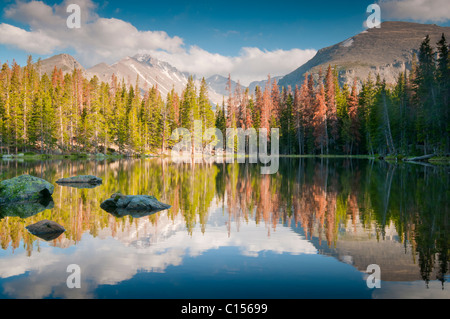 Reflection of a mountain on Nymph Lake in Rocky Mountain National Park Stock Photo