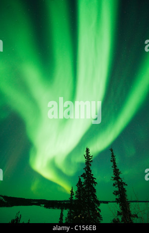 Aurora Borealis or Northern Lights, Northwest Territories, CANADA Stock Photo
