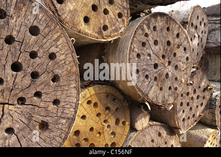 Mini beast man made habitat  shelter to aid conservation of insects invertebrates Stock Photo