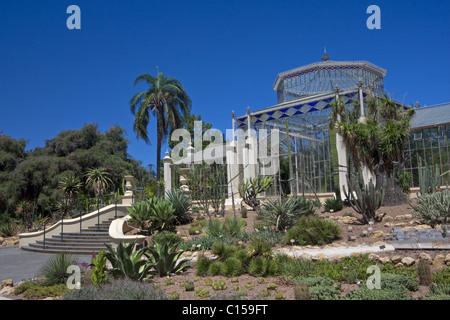 The Palm House, Adelaide Botanic Gardens, South Australia. Stock Photo