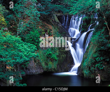 Furnace Falls, Dyfed, North Wales Stock Photo