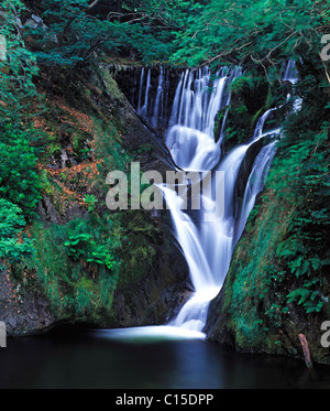 Furnace Falls, Dyfed, North Wales Stock Photo