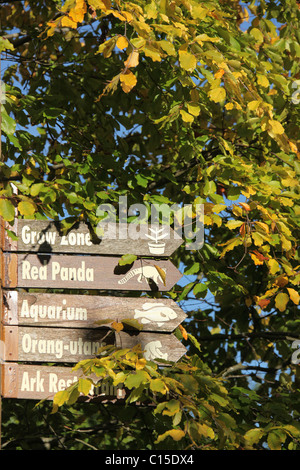 Chester Zoological Gardens. Autumnal view of Chester Zoo’s visitor direction sign. Stock Photo