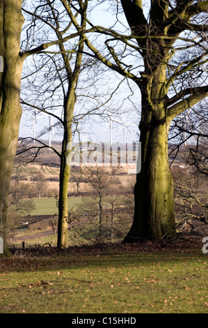 Wind Turbines Generating Renewable Electrical Power on a bright day with blue sky Stock Photo