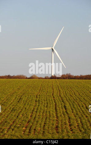 Wind Turbines Generating Renewable Electrical Power on a bright day with blue sky Stock Photo