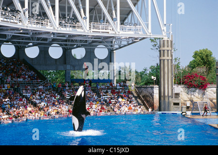 Sea World, Orlando, Florida, USA Stock Photo