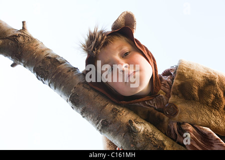 Boy dressed up as bear on tree branch Stock Photo