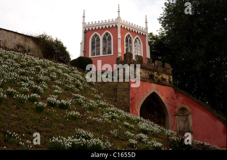 The Eagle House and snowdrops, Painswick Rococo Garden, Gloucestershire, England, United Kingdom Stock Photo