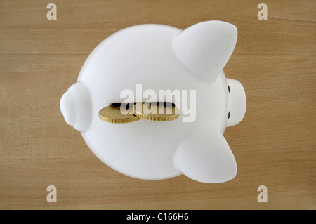 White piggy bank with two-Euro coins, gold coloured, in the slot, on a beech table, top view Stock Photo