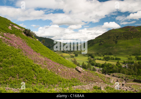 View east over Millbeck down through Great Langdale from the path leading up to Stickle Tarn. Cumbria, June. The Lake District. Stock Photo