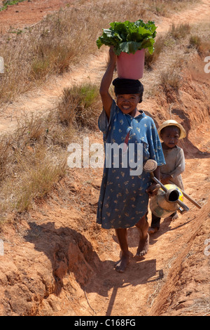 Mother and child bringing in harvested vegetables from fields. Near Fianarantsoa, southern Madagascar. Stock Photo