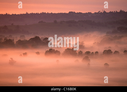 Morning fog covering the backcountry, outback of Byron Bay, New South Wales, Australia Stock Photo