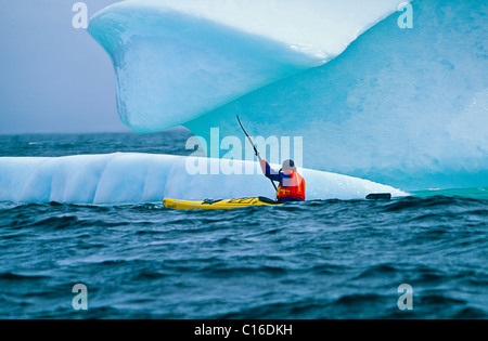 Conan Coates kayaking around an iceberg in the Atlantic Ocean along the Iceberg Alley near Hare Bay off Newfoundland Stock Photo