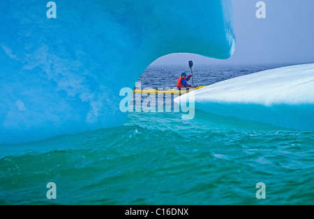 Conan Coates kayaking around an iceberg in the Atlantic Ocean along the Iceberg Alley off Newfoundland Stock Photo